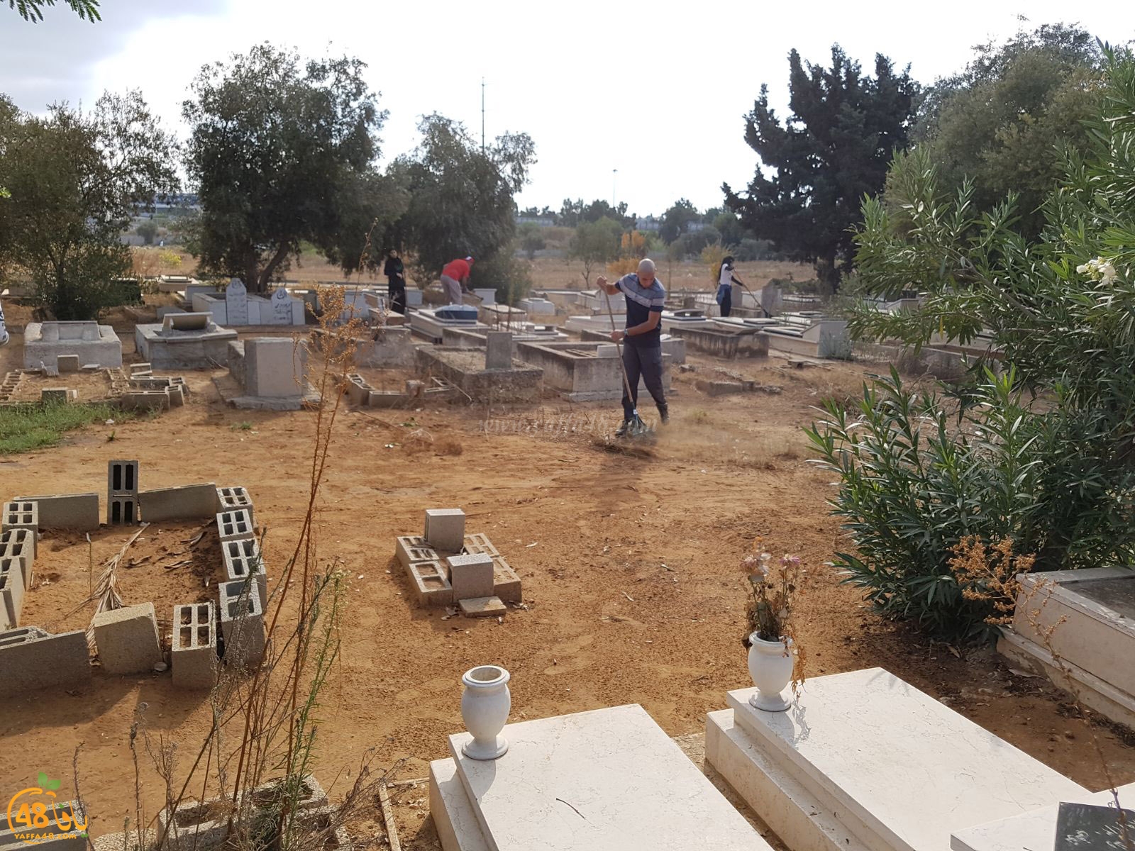 tasoo tandefet (66).jpg